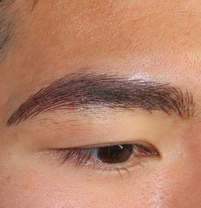 Male eyebrow voor krachtigere uitstraling man TCS